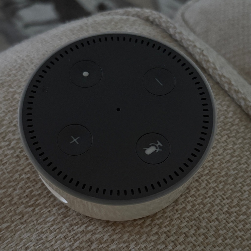 Amazon Echo Dot Black and Gray